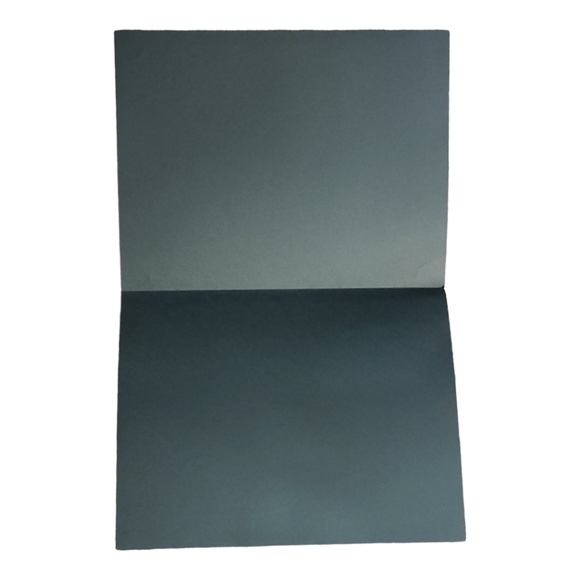 Parchment Certificates with Gold Seals - Picture 4 of 5